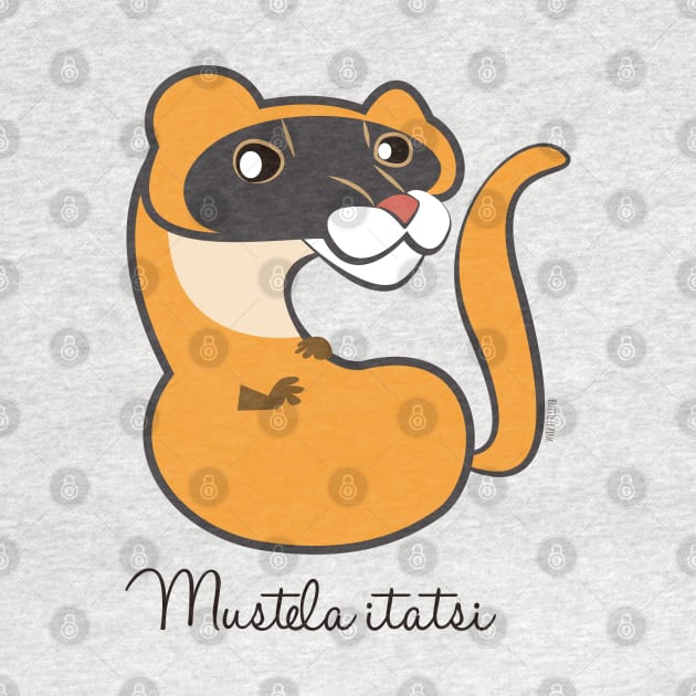 Japanese weasel Mustela itatsi by belettelepink